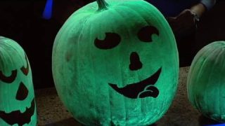 Glowing Pumpkins – Cool Halloween Science