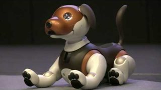 Aibo SONY robot dog favorite pet for children and adults with artificial intelligence