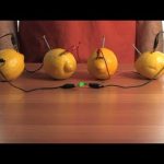 Fruit-Power Battery – Sick Science! #080