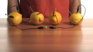 Fruit-Power Battery – Sick Science! #080