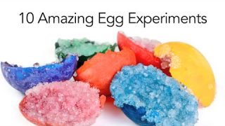 10 Amazing Egg Experiments – Steve Spangler Science