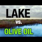 Crazy Lake Experiment