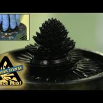 Science Max|MAGNETS|Science For Kids