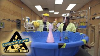 Science Max|CHEMICAL REACTIONS|School Projects