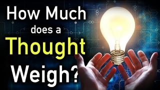 How Much Does a Thought Weigh?