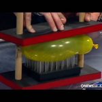 Bed of Nails – Cool Science Experiment