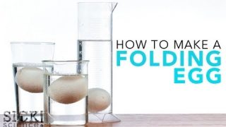 How to Make a Folding Egg – Sick Science! #121