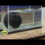 Floating Bowling Balls – Cool Science Experiment