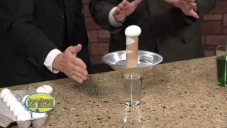 Egg Drop Inertia Challenge – Cool Science Trick