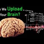Uploading Your Mind Is 100 Percent Fatal