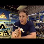 Science Max | ALL KINDS OF FLIGHT! | Cool Science Projects