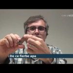 Ce se întâmplă într un cuptor cu microunde