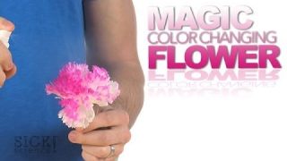 Magic Color Changing Flower – Sick Science! #177