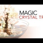 Magic Crystal Tree – Sick Science! #065