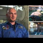 Training for Blue Dot