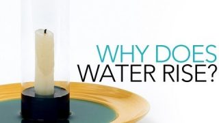 Why Does Water Rise? – Sick Science! #001