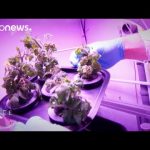 ESA Euronews: Comida espacial