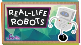 Real-Life Robots