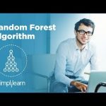 Random Forest Algorithm – Random Forest Explained | Random Forest in Machine Learning | Simplilearn