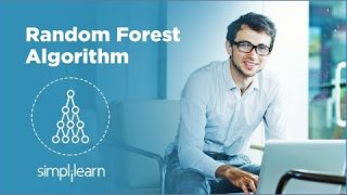 Random Forest Algorithm – Random Forest Explained | Random Forest in Machine Learning | Simplilearn