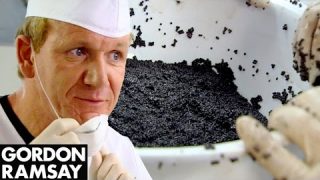 Gordon Ramsay Is Stunned by Farmed Caviar; Makes Lobster & Caviar Salad