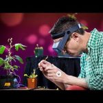 Electrical experiments with plants that count and communicate | Greg Gage