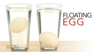 Floating Egg – Sick Science! #167