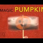 Magic Pumpkin – Sick Science! #213