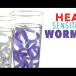 Heat Sensitive Worms – Sick Science! #212