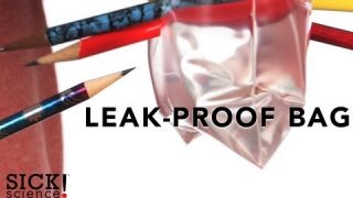 Leak-Proof Bag – Sick Science! – #120