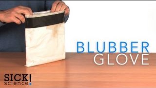 Blubber Glove – Sick Science! #092
