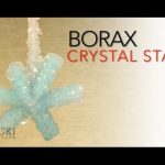 Borax Crystal Star – Sick Science! #066