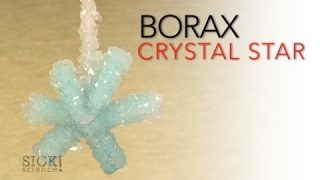 Borax Crystal Star – Sick Science! #066