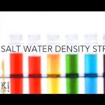 Salt Water Density Straw – Sick Science! #140