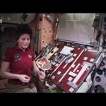 Cooking in space: mackerel, quinoa and leek cream tortilla