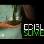 Edible Slime – Sick Science! #163