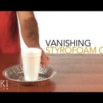 Vanishing Styrofoam Cups – Sick Science! #101