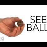 Seed Balls – Sick Science! #147