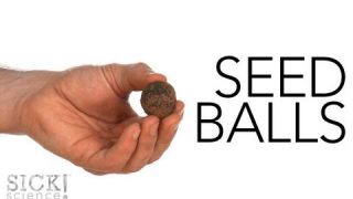 Seed Balls – Sick Science! #147