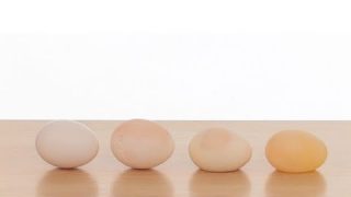 Naked Egg – Sick Science! #031