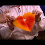 Valentines Day Science Fun – Cool Science Experiments