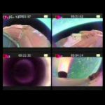 NASA’s Flying Saucer Makes Second Voyage to the Edge of Space