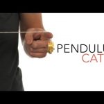 Pendulum Catch – Sick Science! #013