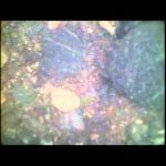 NASA’s Mars Curiosity Rover Report #8