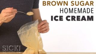 Brown Sugar Homemade Ice Cream – Sick Science! #217