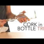Cork in the Bottle Trick – Sick Science! #015