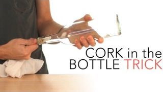 Cork in the Bottle Trick – Sick Science! #015