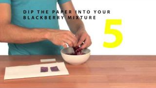 Berry pH Paper – Sick Science! #048