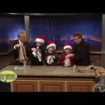 Grow Your Own Newspaper Tree