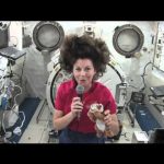 Waking up, working, and going to sleep in Zero G